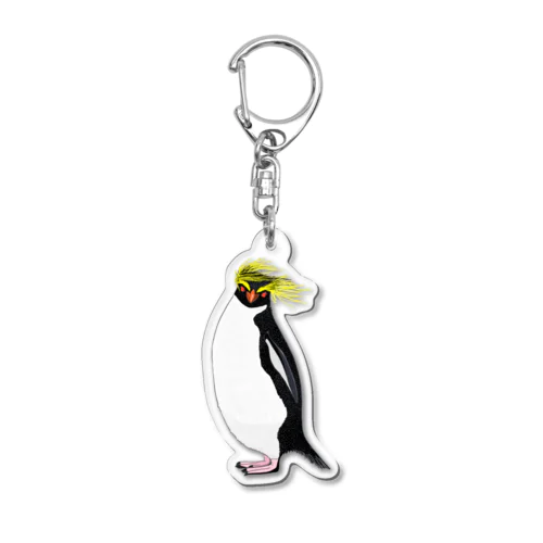 　風に吹かれるイワトビペンギンさん(文字無しバージョン Acrylic Key Chain