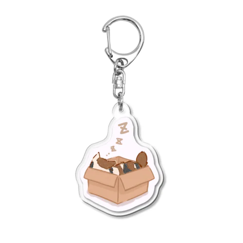 箱入り寝子 Acrylic Key Chain