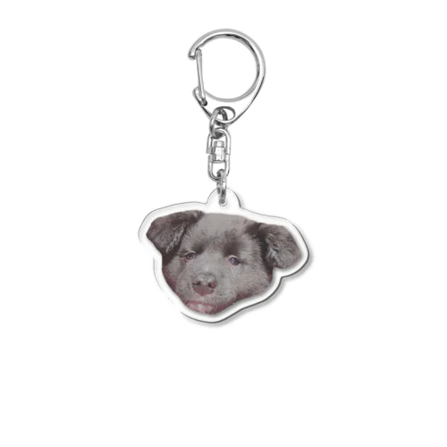 愛犬ラックのお顔でっか！アクキー Acrylic Key Chain