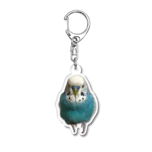 インコのラッキー(冬仕様) Acrylic Key Chain