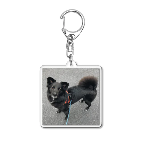 愛犬ラックのしっぽふわふわ Acrylic Key Chain