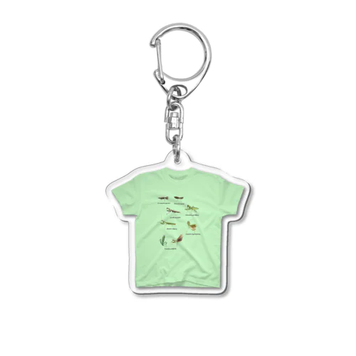 関東のカマキリ（旧学名・非推奨）Tシャツキーホルダー Acrylic Key Chain