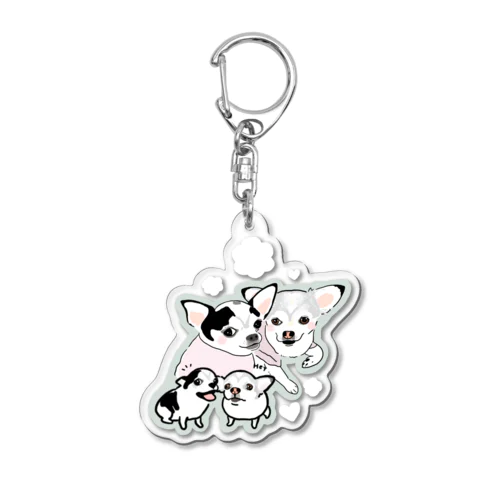 あぴすちゃんとビビィちゃんアクキー Acrylic Key Chain