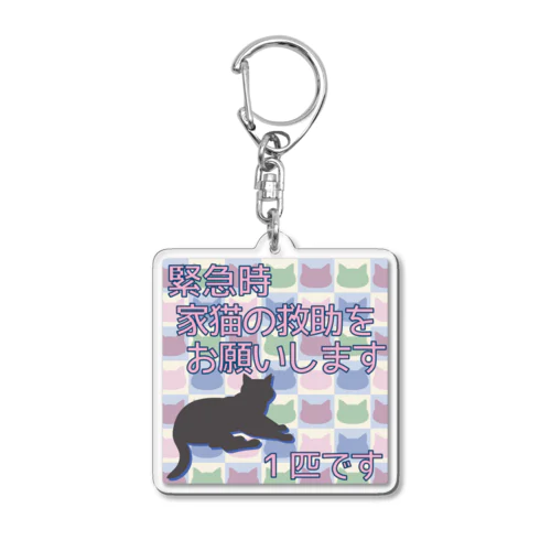 猫救助願います＊1匹 Acrylic Key Chain