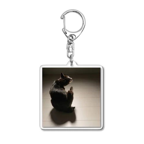 美の巨匠 Acrylic Key Chain