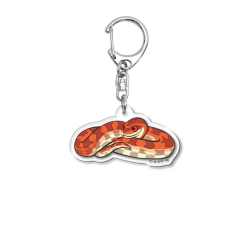 コーンスネーク（ノーマル）アクキー Acrylic Key Chain