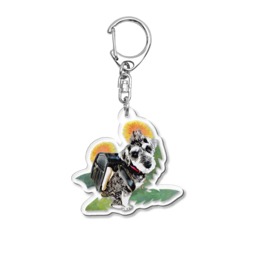 Abby Acrylic Key Chain