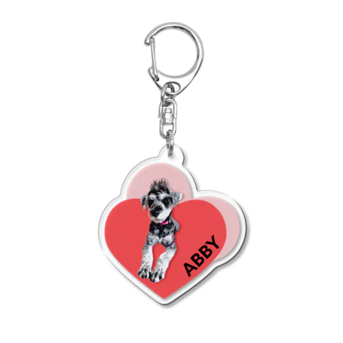 Abby Acrylic Key Chain