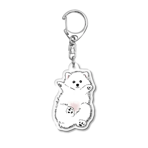 しろくまの赤ちゃんみたいないぬ Acrylic Key Chain