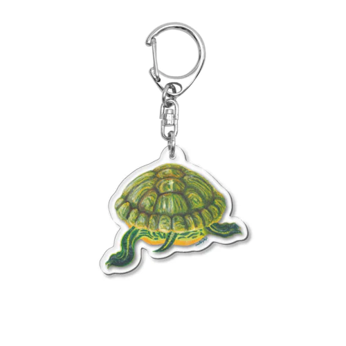 ミシシッピアカミミガメ　後姿 Acrylic Key Chain