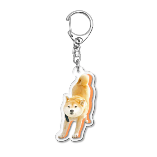 伸びる犬 Acrylic Key Chain