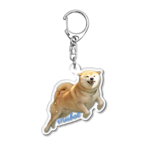 Superwan Acrylic Key Chain