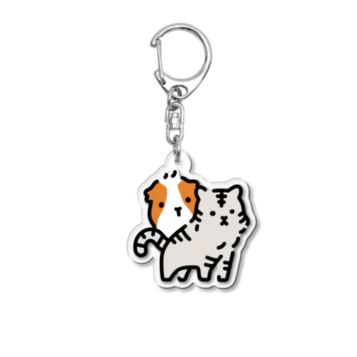 埼玉県モルモット Acrylic Key Chain