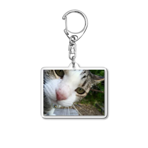 くんくん Acrylic Key Chain