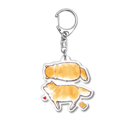 柴犬・おいなり Acrylic Key Chain