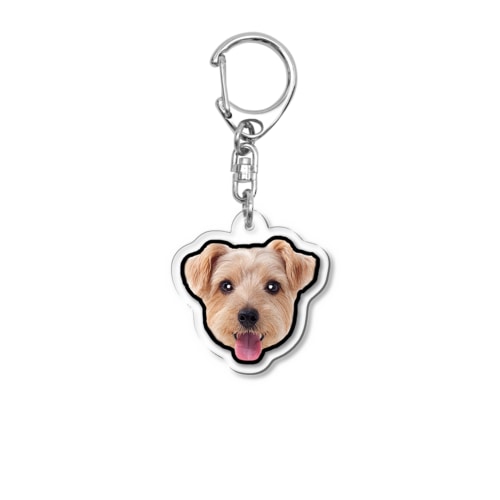 ノーフォークテリアのビスケ（ちゅうくらい） Acrylic Key Chain