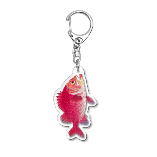 エビスダイ 縦　Japanese soldierfish Acrylic Key Chain