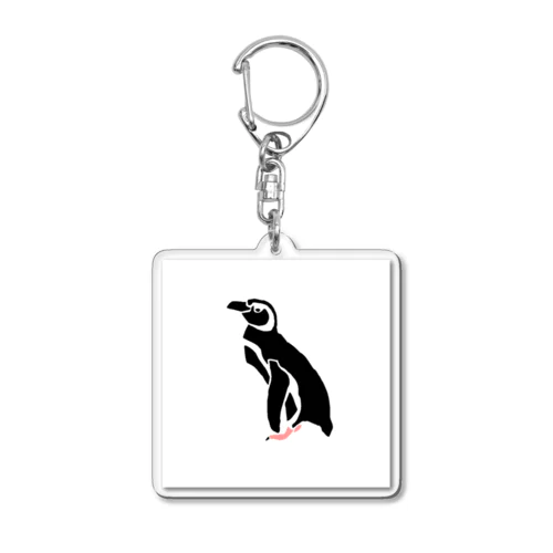 キーホルダー「マゼランペンギン」 Acrylic Key Chain