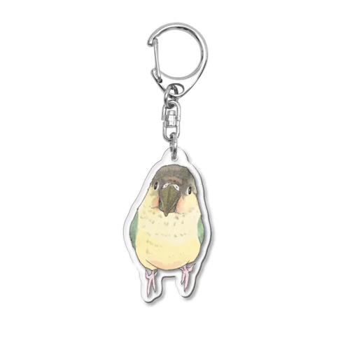 可愛いウロコメキシコインコちゃん【まめるりはことり】 Acrylic Key Chain