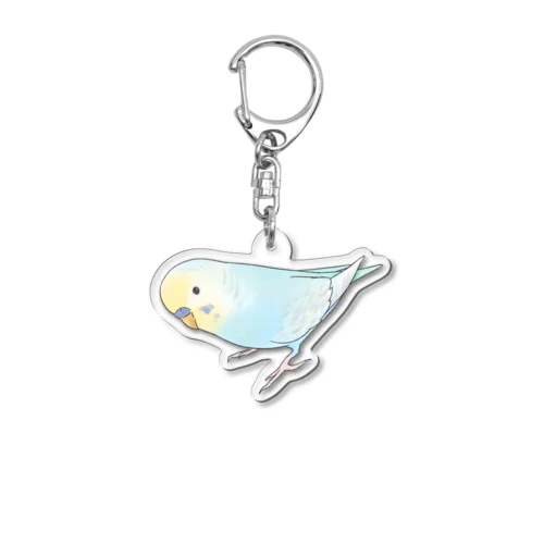 レインボーなセキセイインコちゃん【まめるりはことり】 アクリルキーホルダー