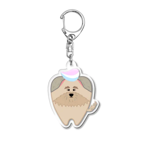 シュナぷーけんしんくん Acrylic Key Chain