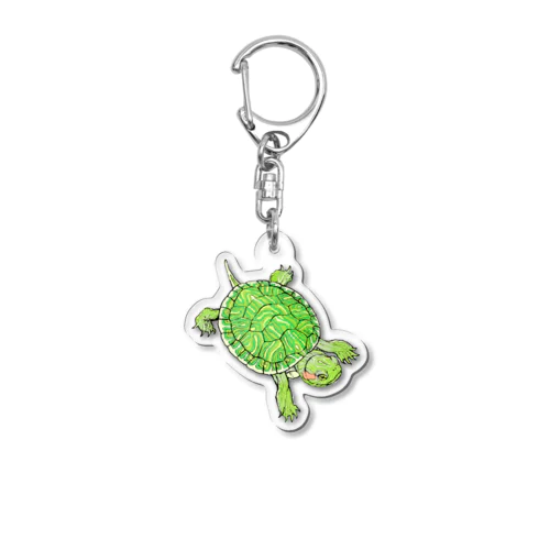 アカミミガメベビーC Acrylic Key Chain