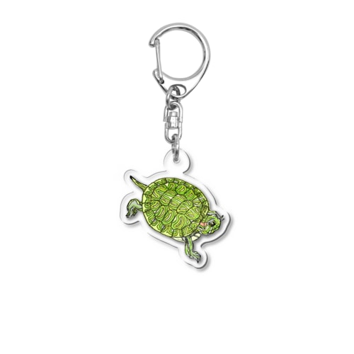 アカミミガメベビーD Acrylic Key Chain