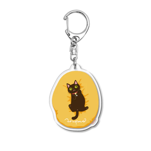 黒猫ちゃんアクキー Acrylic Key Chain