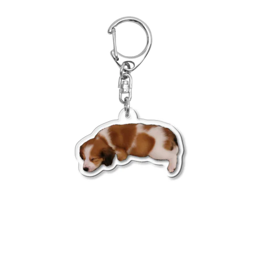 寝てる子犬 Acrylic Key Chain