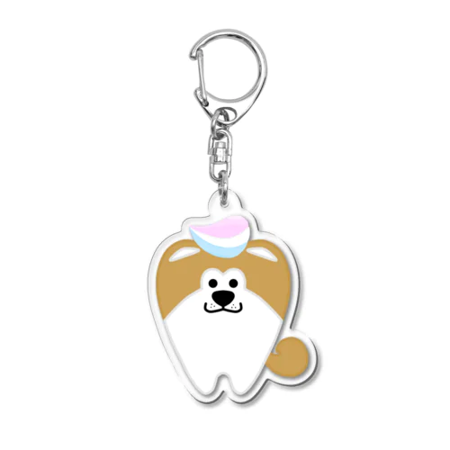 しばけんしんくん Acrylic Key Chain