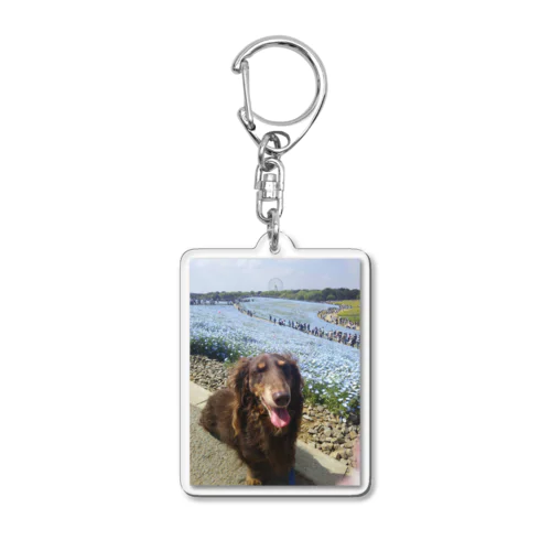 笑顔犬 Acrylic Key Chain