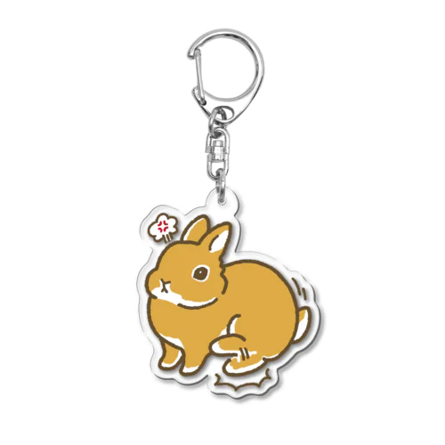 アングリーバニー足ダン Acrylic Key Chain