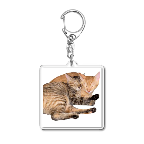 眠り猫ちゃん達 Acrylic Key Chain