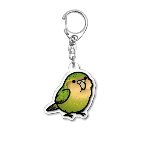 Chubby Bird カカポ アクリルキーホルダー