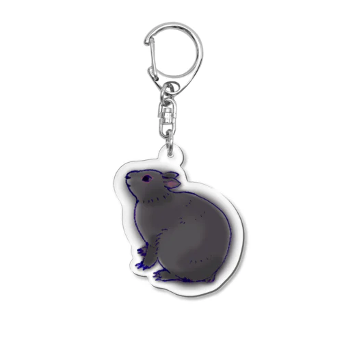 アマミノクロウサギ Acrylic Key Chain