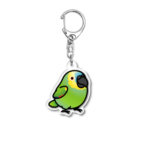 Chubby Bird ボウシインコ Acrylic Key Chain