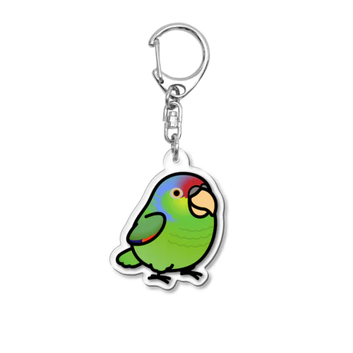 Chubby Bird フジイロボウシインコ アクリルキーホルダー