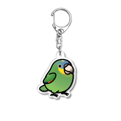 Chubby Bird キソデボウシインコ Acrylic Key Chain