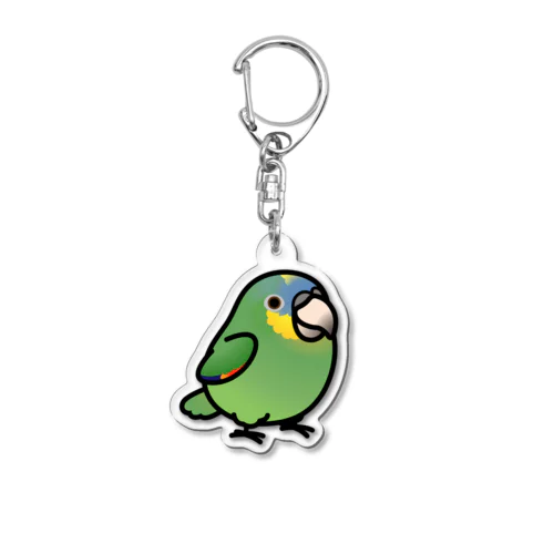 Chubby Bird キソデボウシインコ アクリルキーホルダー