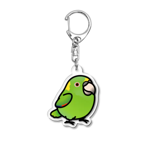 Chubby Bird キエリボウシインコ Acrylic Key Chain