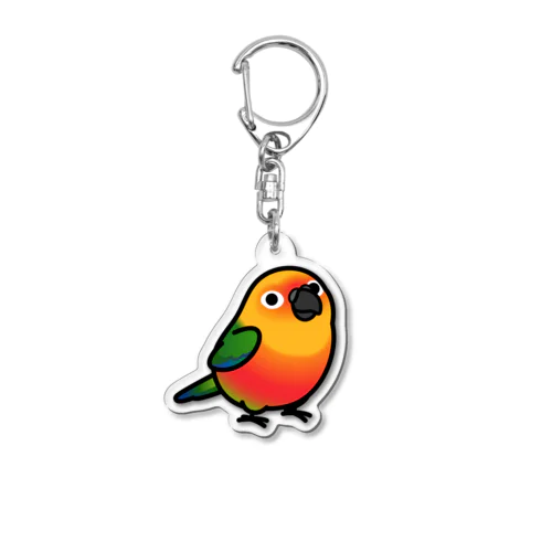 Chubby Bird ナナイロメキシコインコ アクリルキーホルダー