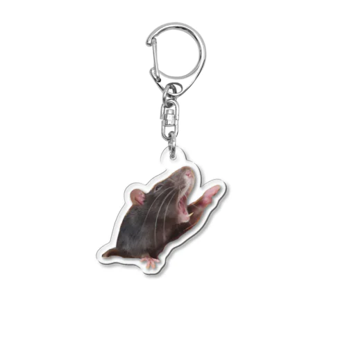 おこげのあくび　第2弾 Acrylic Key Chain