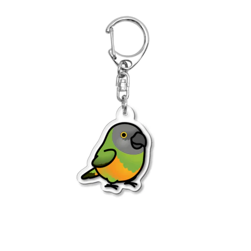 Chubby Bird ネズミガシラハネナガインコ Acrylic Key Chain