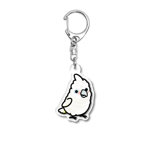 Chubby Bird シロビタイムジオウム Acrylic Key Chain