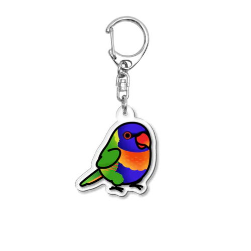 Chubby Bird ゴシキセイガイインコ　ロリキート アクリルキーホルダー