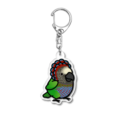 Chubby Bird ヒオウギインコ Acrylic Key Chain