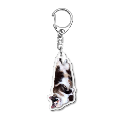 pui Acrylic Key Chain