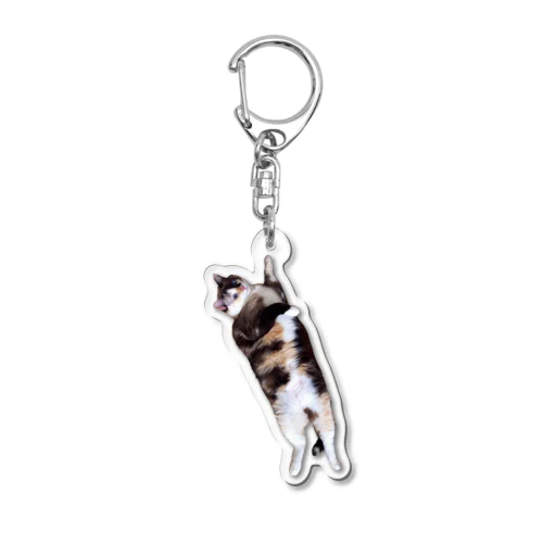 pui Acrylic Key Chain