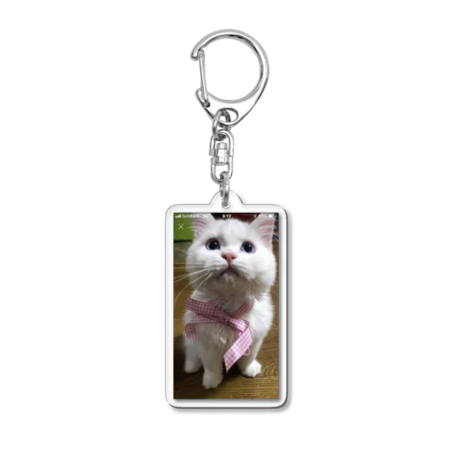 わっくん☆ Acrylic Key Chain