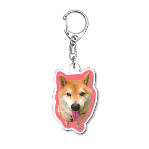 ｼﾊﾞｲﾇのｻｸﾗ Acrylic Key Chain